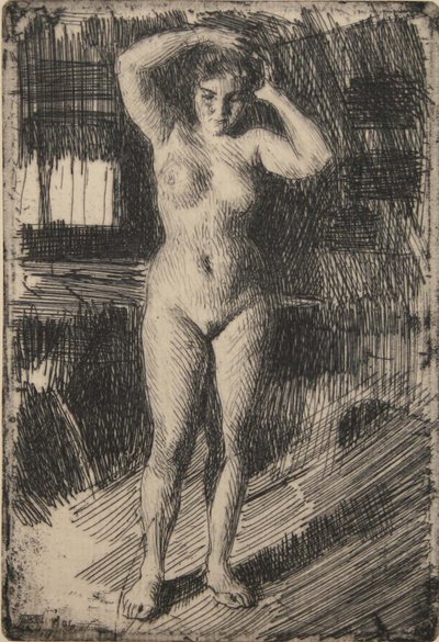 Anna Doing Her Hair by Anders Leonard Zorn